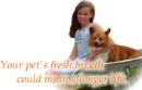 bad breath bad breath